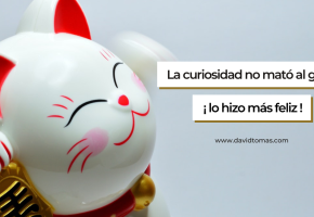 La curiosidad no mató el gato, lo hizo más feliz